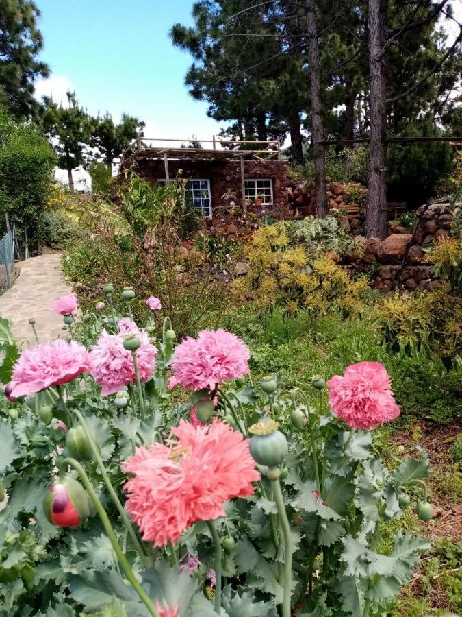 Casa Los Pinos - Sunset & Wifi Puntagorda エクステリア 写真