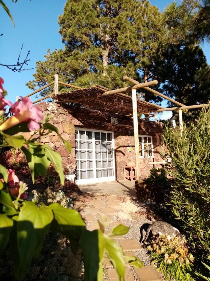 Casa Los Pinos - Sunset & Wifi Puntagorda エクステリア 写真