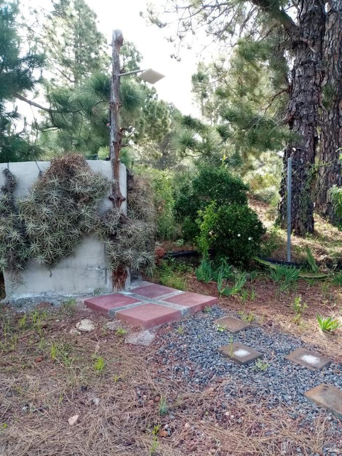 Casa Los Pinos - Sunset & Wifi Puntagorda エクステリア 写真